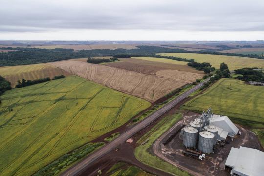 Bunge e Santander lançam linha para expansão de soja sem desmatamento no cerrado