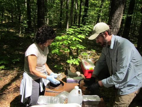 UMass Amherst microbiologist will lead new soil warming studies