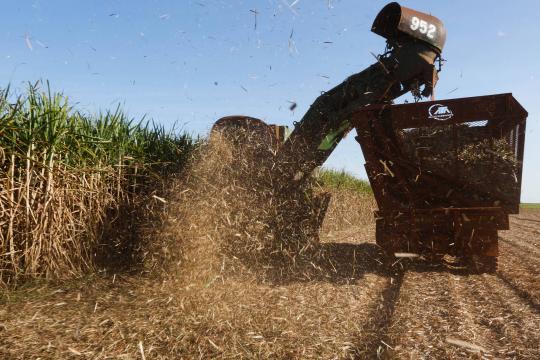 Brasil aprova consulta à OMC para questionar sobretaxa da China ao açúcar