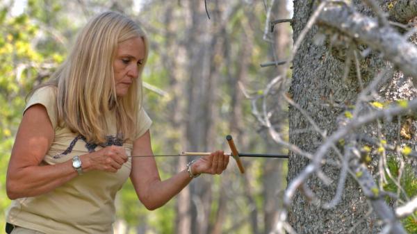 UM professor wins 2018 Edward O. Wilson Biodiversity Technology Pioneer Award