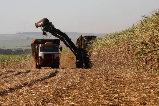 Após mecanização, indústria de colhedora de cana se ajusta ao mercado