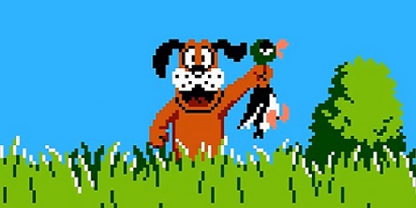 Seth Rogen Reveals Hilarious Way He Discovered A Little Known Trick In Nintendo's Duck Hunt