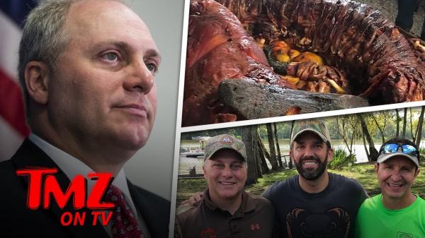 Congressman Hunts Alligators With Trump Jr. | TMZ TV