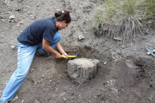 Searching for clues on extreme climate change