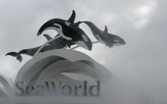 SeaWorld, ex-CEO settle SEC charges they hid 'Blackfish' impact