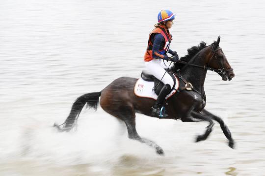 Morte de cavalo chamado Obama é ápice do caos em Mundial Equestre nos EUA