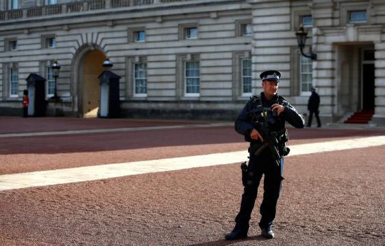 Man arrested with taser at Buckingham Palace visitor entrance - police