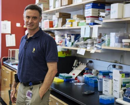 UA Immunobiology Chief awarded $1.5M grant to study threat of Chikungunya to elderly