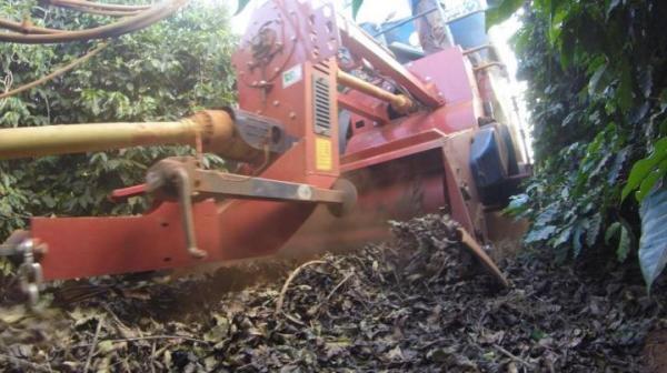 'Ground coffee' with soil perks in Brazil