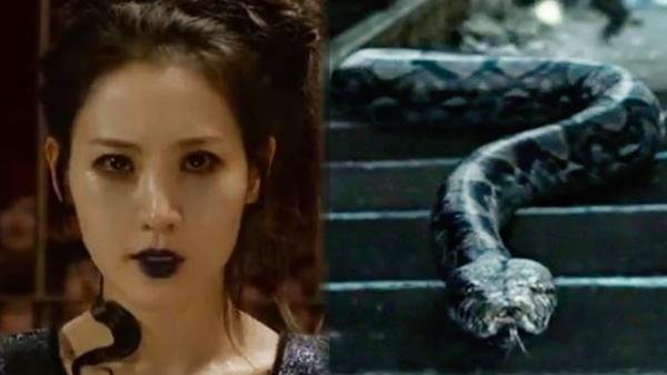 Harry Potter Nagini Fan Theory CONFIRMED in Final Fantastic Beasts Trailer