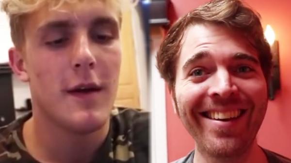 Everything We Learned in Shane Dawsons Part 1 of The Mind of Jake Paul