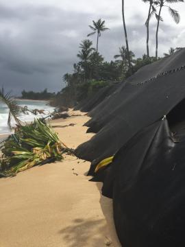 Hawai'i land impacted by sea level rise may be double previous estimates