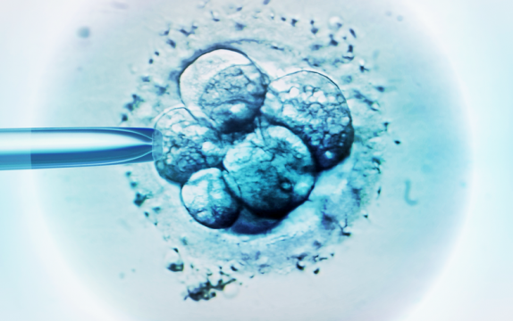 Japan Set to Allow Gene Editing in Human Embryos