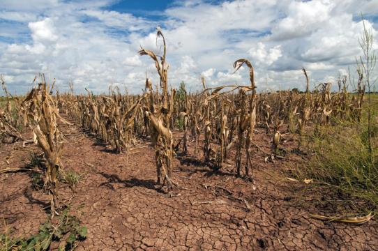 More wet and dry weather extremes projected with global warming