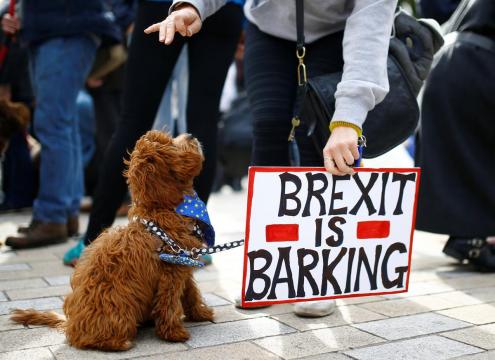Dogs owners march on UK parliament demanding new Brexit 'Wooferendum'