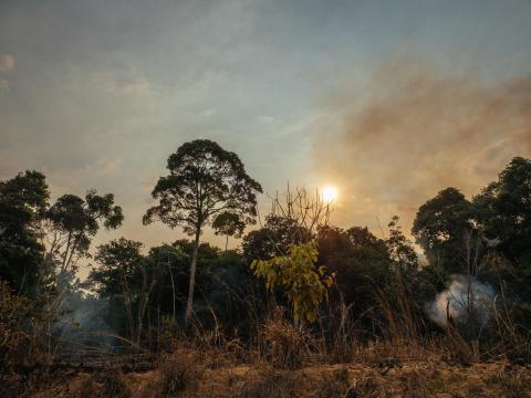 Carbon emissions from Amazonian forest fires up to 4 times worse than feared