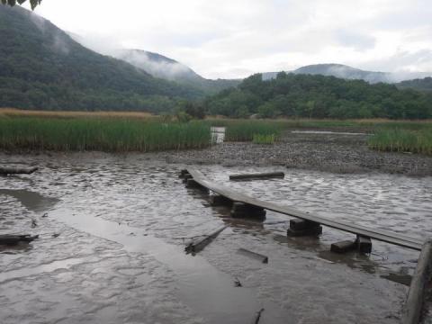 New York City area wetlands may be unwitting generator of greenhouse gasses