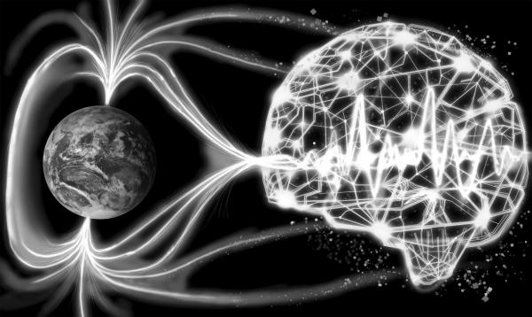 Fast, accurate estimation of the Earth's magnetic field for natural disaster detection