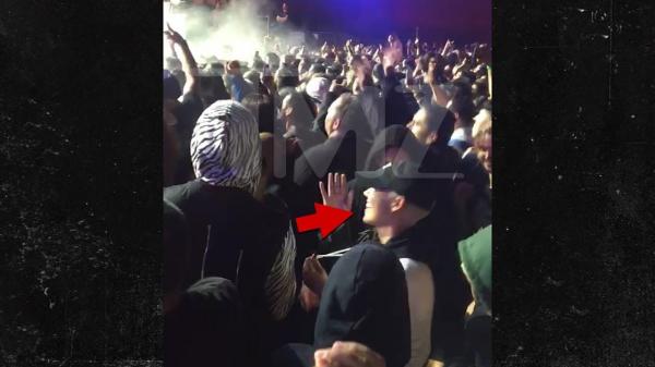 Amber Rose Rocks Out With New Boyfriend at System of a Down Concert