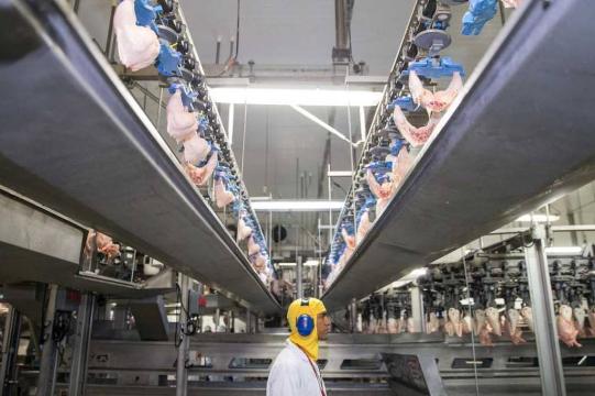 BRF tenta acordo de leniência em investigações da Operação Carne Fraca