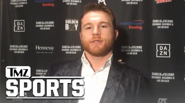 Canelo Alvarez Wants Floyd Mayweather Rematch, Stop Hurting Boxing! | TMZ Sports