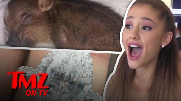 Ariana Grande Gives Ring Back But Keeps The Pig! | TMZ TV