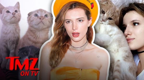 Bella Thorne Is A Crazy Cat Lady! | TMZ TV