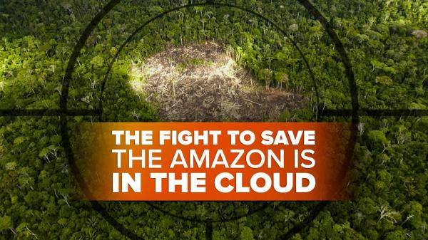 The fight to save the Amazon on the ground and in the cloud