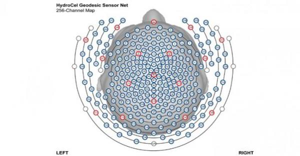 Making collective sense of brainwaves