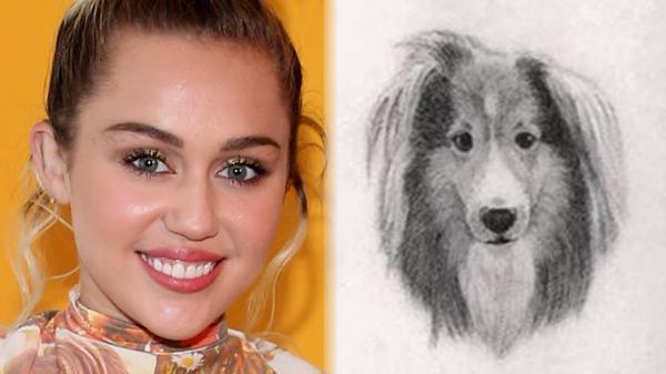 7 Celebs With Tattoos Honoring Their Pets