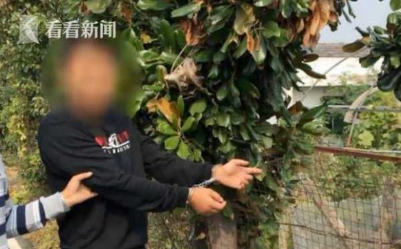 3名千万富翁钻进果园偷水果 警察:吃完了就过来偷