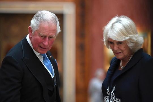 'Rebel' Prince Charles could put monarchy at risk, author says