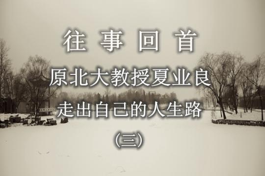 【往事回首】原北大教授夏业良：走出自己的人生路（三）——  第二篇 文革期间（下）