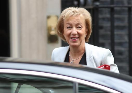 Eurosceptic minister shows support for British PM on Brexit