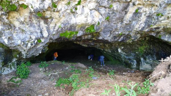 The first cave-dwelling centipede from southern China