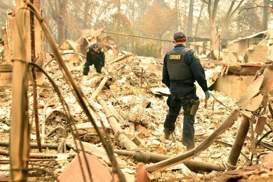 Sobe para 50 número de mortos por incêndios na Califórnia