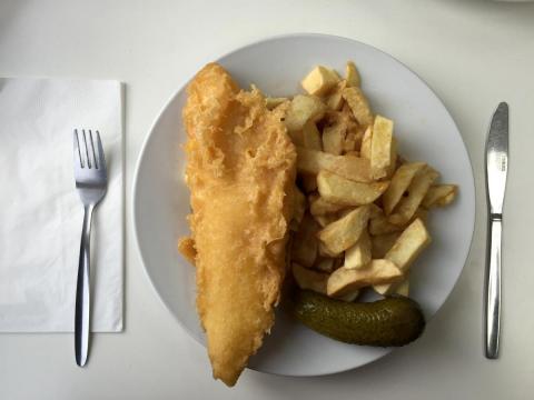 Fish and chips under threat from plastic-clogged seas, UK charity warns