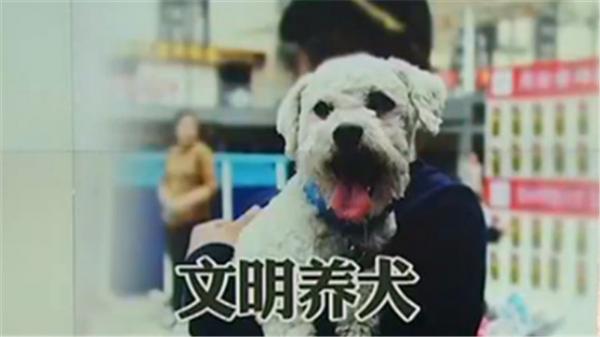 最严养犬令！遛狗不牵绳或者无证养狗将被严罚