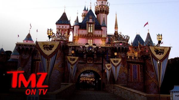 Disney Sued For Bed Bugs at Disneyland Hotel! | TMZ TV