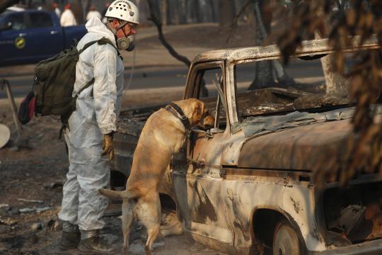 Incêndios na Califórnia têm ao menos 1.000 desaparecidos e 71 mortos