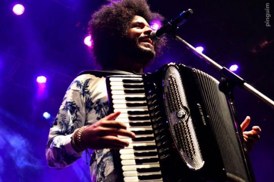 Festival da Sanfona põe foco em instrumentos e anima mesmo com verba menor