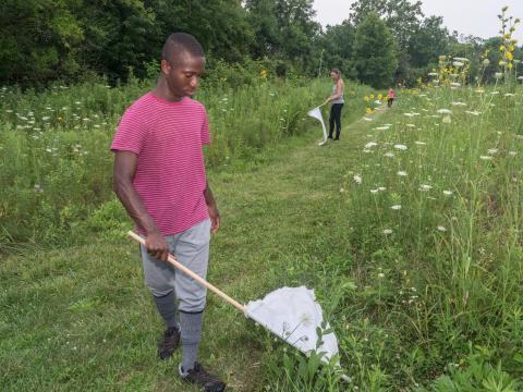 Hungry ticks work harder to find you