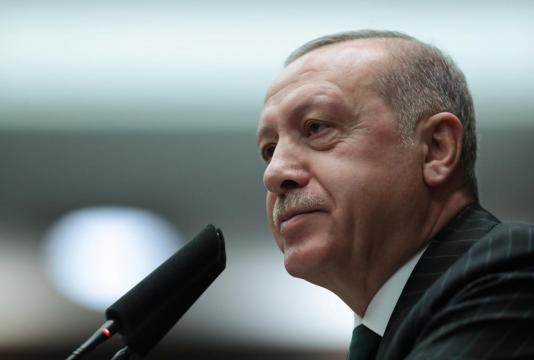 Turkey's Erdogan not to meet Saudi Crown Prince at G20 summit: A Haber