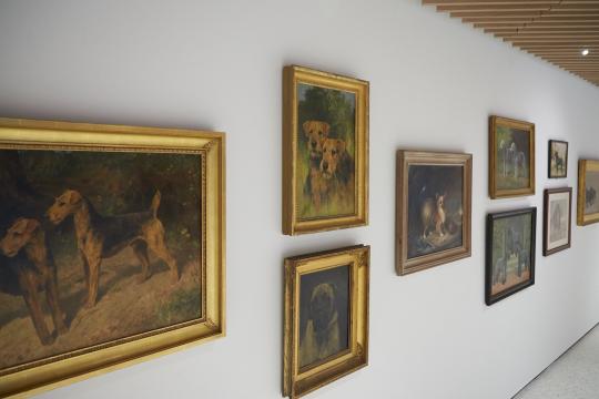 Museu dedicado a cachorros reúne quadros, esculturas e livros em Nova York