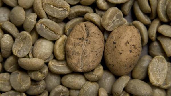 Nestlé vai vender cápsulas de café com a marca Starbucks em supermercados