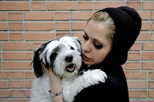 Irã proíbe passeios com cachorros por considerá-los 'impuros'