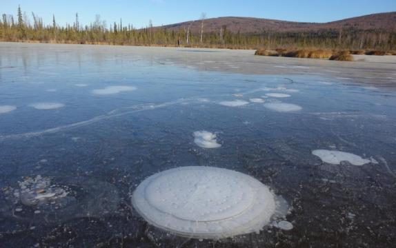 Arctic Lakes Might Emit Less Carbon than Suspected