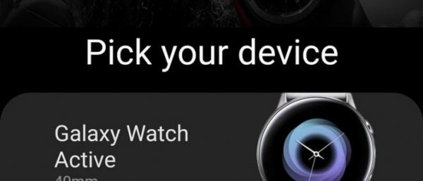 Samsung's new wearables leak on Samsung's own app