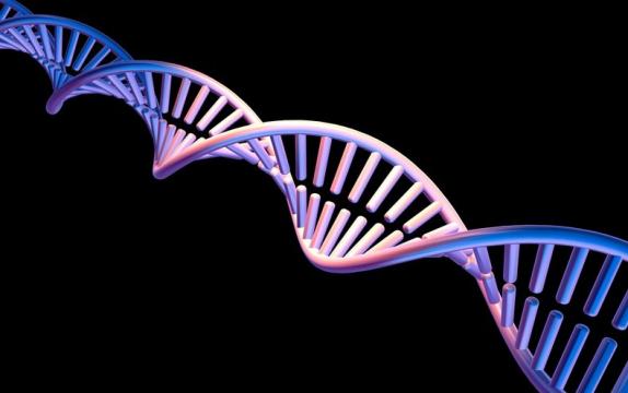 Four New DNA Letters Double Life's Alphabet