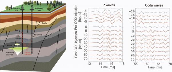 Coda waves reveal carbon dioxide storage plume